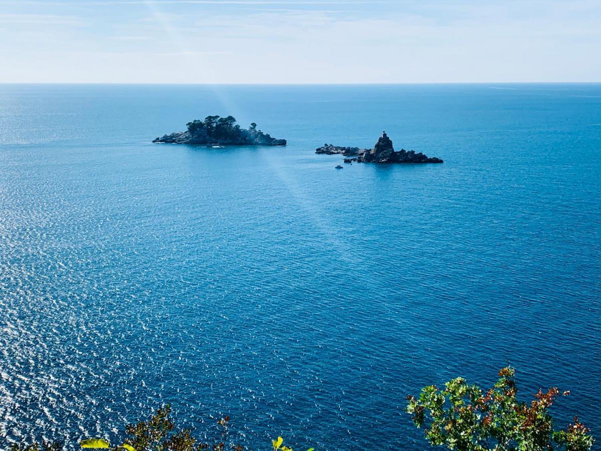 Best View Apartment Petrovac Екстер'єр фото